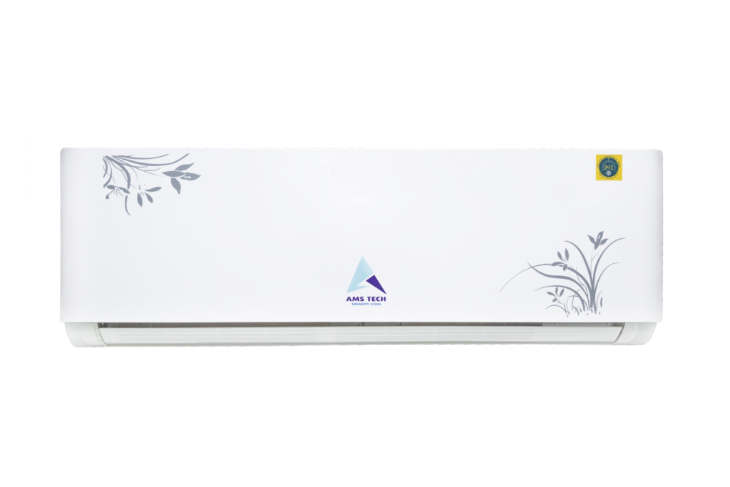 DSCF2447 1 9 1024x683