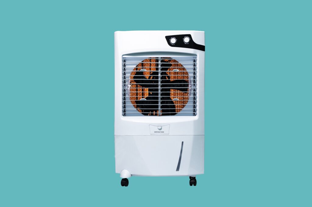 IMG 20260210 WA0005.jpg 1024x682