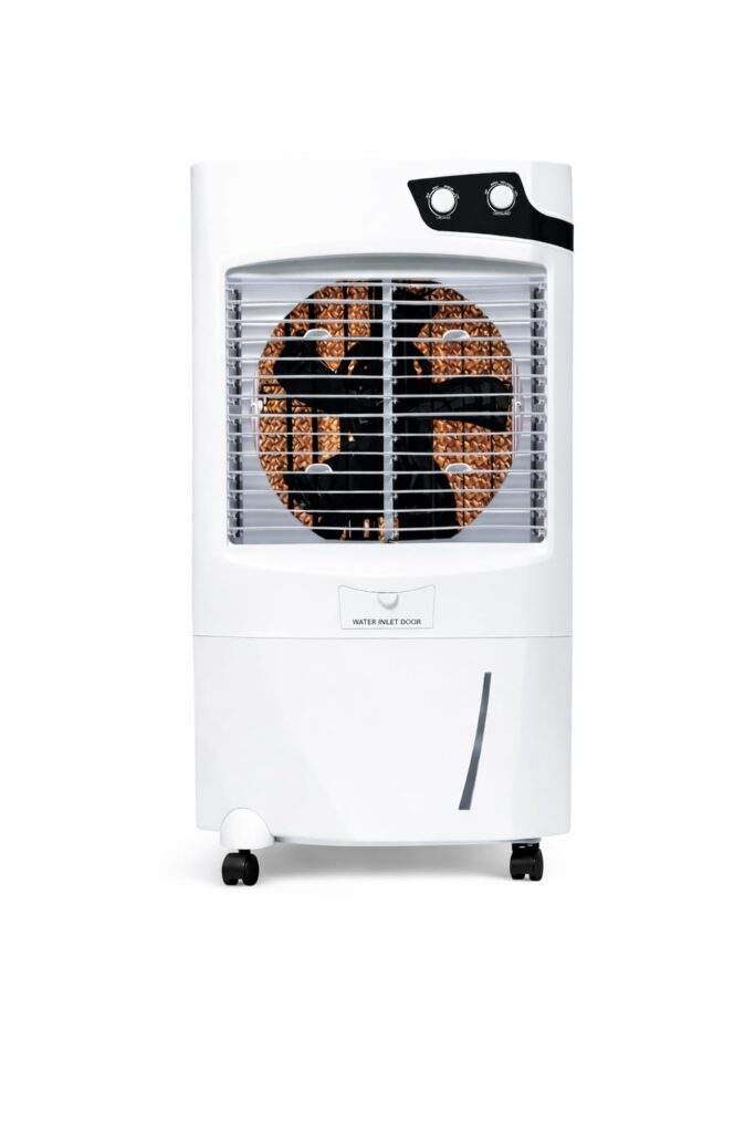 Home WhatsApp Image 2026 02 14 At 9.28.57 AM 683x1024